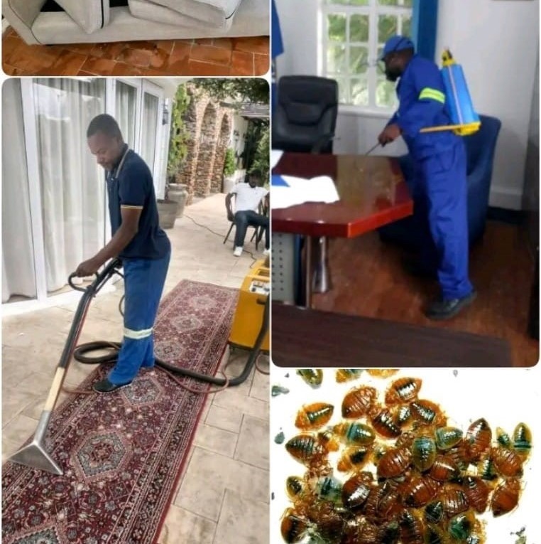 Pest Control Tips