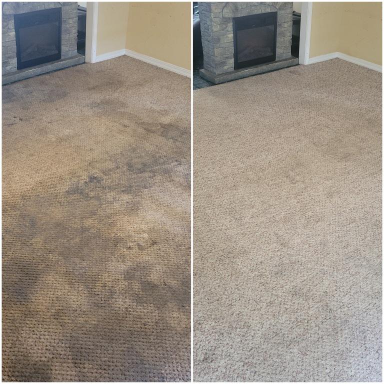 Carpet After Cleaning